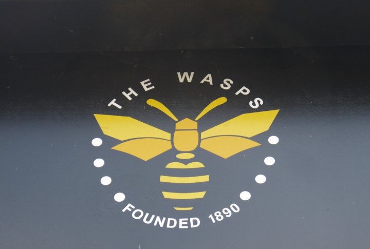 Double Wasps!